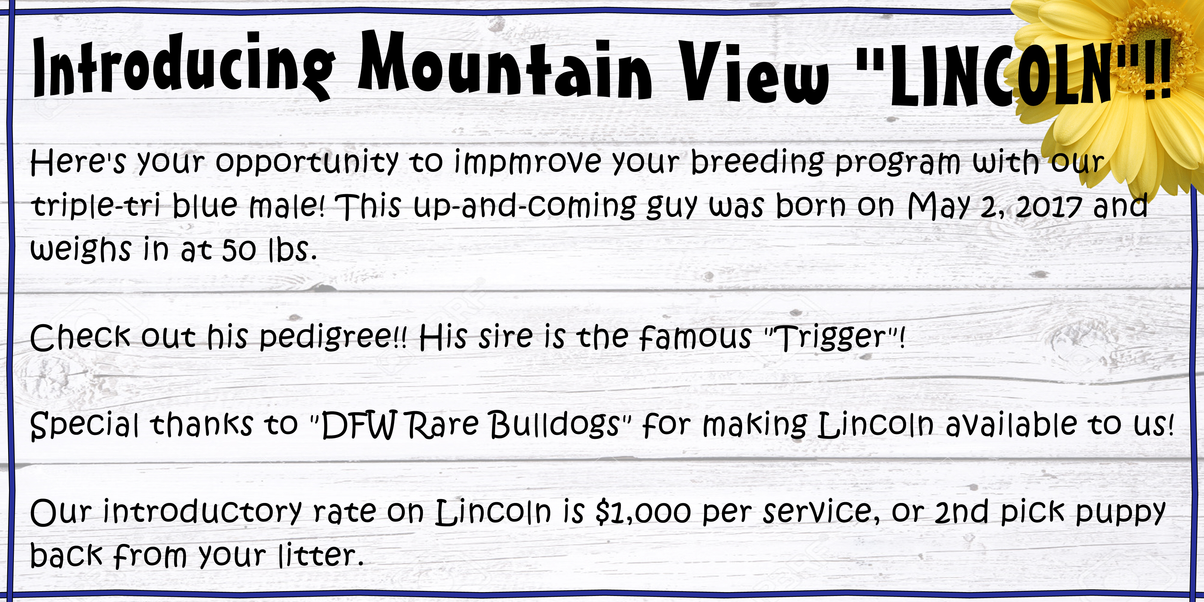 lincoln webpg description